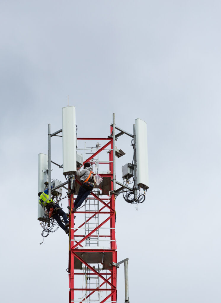 January 12, 2022 La Cienaga,Dominican Republic. Image of workers looking up from the ground with a telephoto lens.